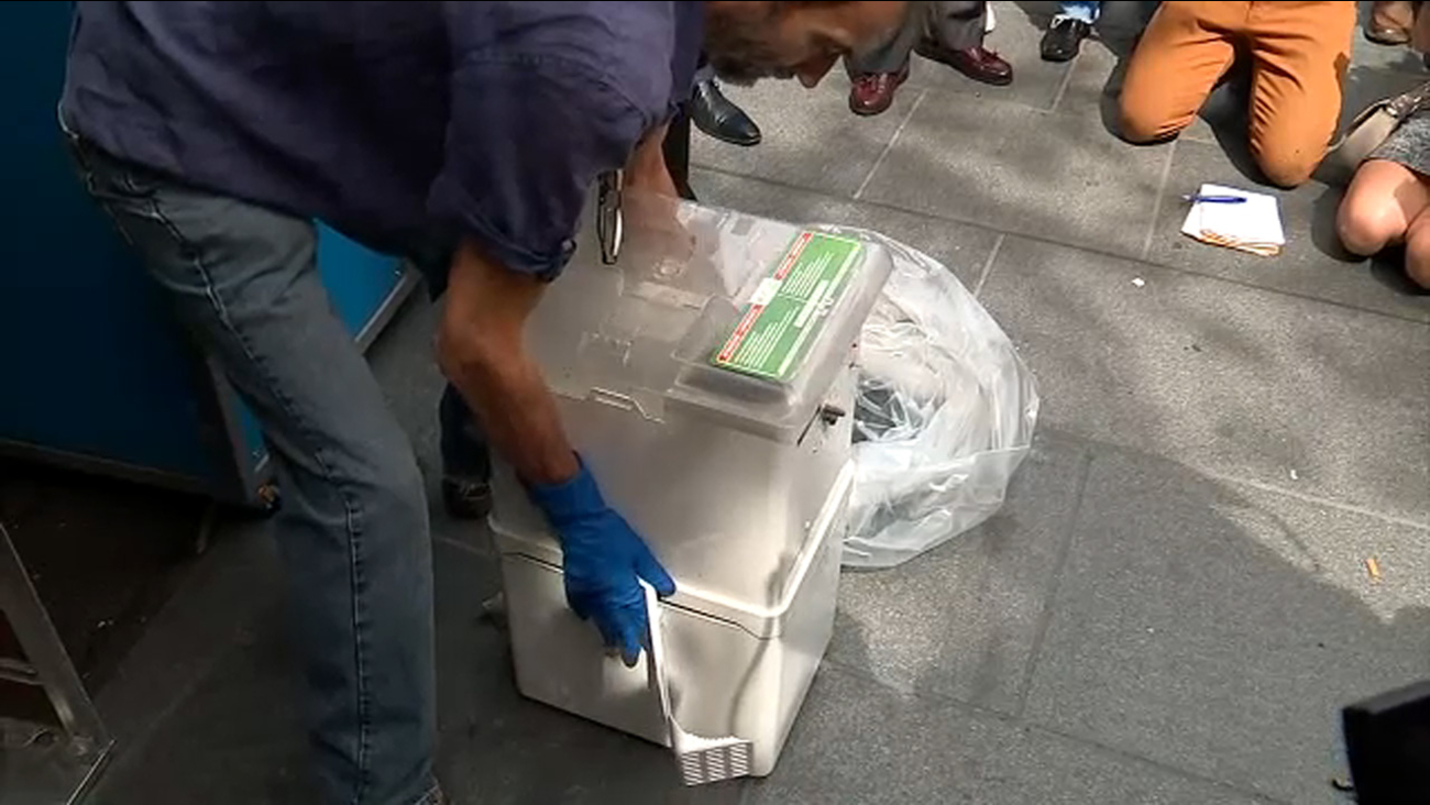 سلطات بروكلين تعلن نجاح برنامج صيد الفئران وتعرض «الجثث» للعامة (فيديو)