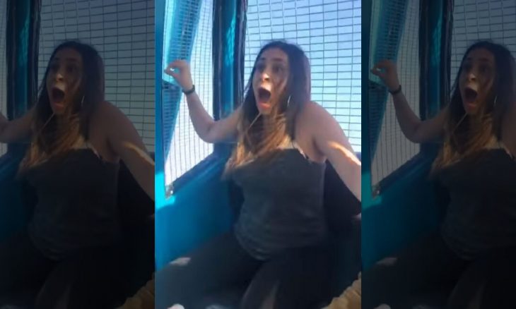 بالفيديو.. امرأة تصاب بانهيار عصبي بعد ركوبها «عجلة دوارة» في منتزه ترفيهي أمريكي