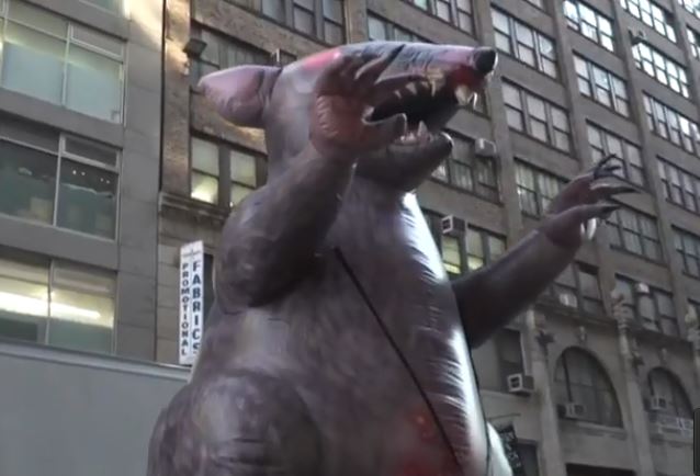 بالفيديو.. لماذا تنتشر مجسمات الفئران العملاقة في شوارع نيويورك؟