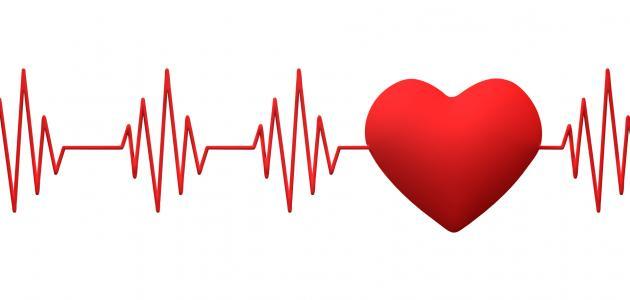 هل هناك علاقة بين نبض القلب ومتوسط عمر الانسان؟ | نيويورك نيوز