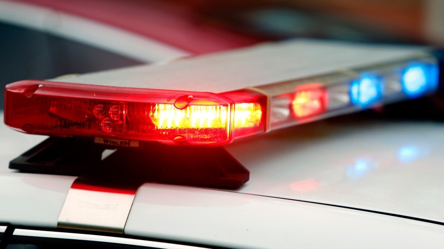 وفاة رجل إثر هجوم ثلاثة كلاب بيتبول عليه في نيوارك بولاية نيوجيرسي