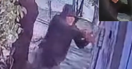 ناشط مكسيكي ينجو من محاولة اغتيال داخل منزله في ناياريت بعد إطلاق النار عليه