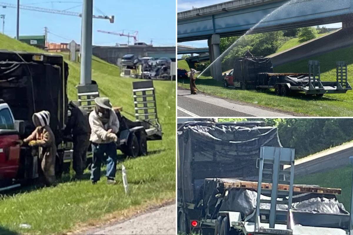 إغلاق منحدر على الطريق السريع في تينيسي بعد انقلاب شاحنة تحمل مليون نحلة