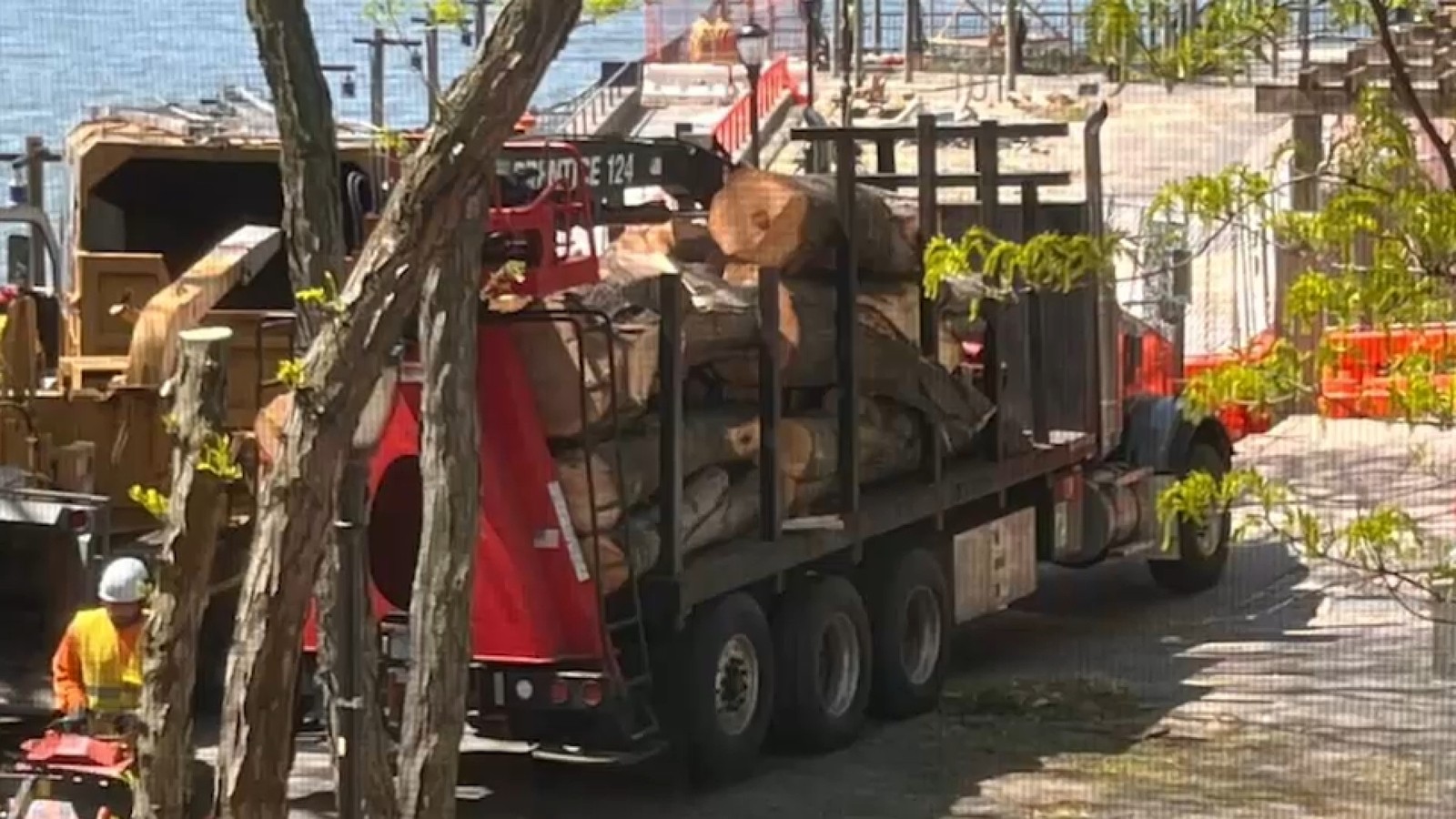 غضب في باتيري بارك سيتي بعد قطع أكثر من 400 شجرة لمشروع الحماية من الفيضانات