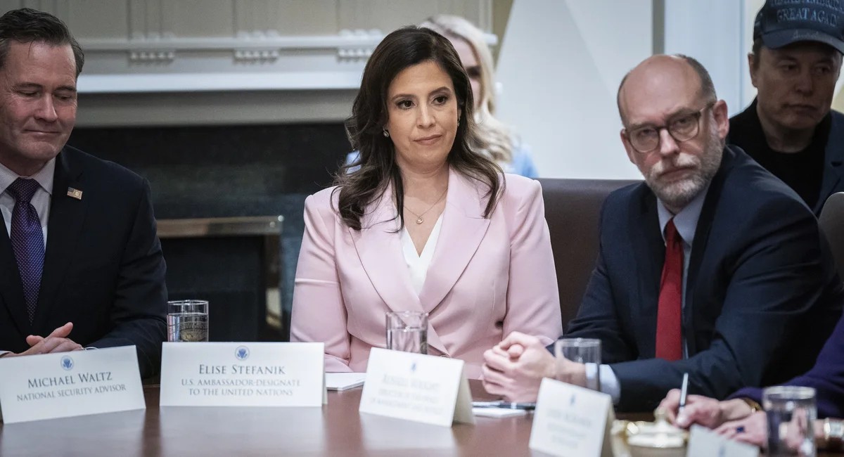 ستيفانيك تهاجم جامعات النخبة الأميركية في كتاب جديد عن «آيفي ليغ»