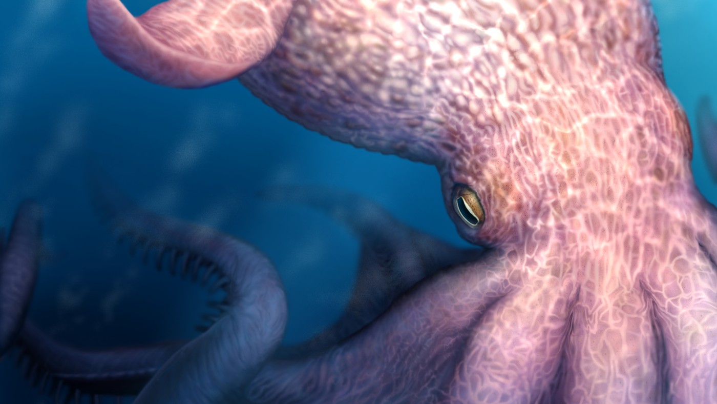 علماء يكشفون عن أخطبوطات عملاقة جابت محيطات العصر الطباشيري قبل 100 مليون سنة