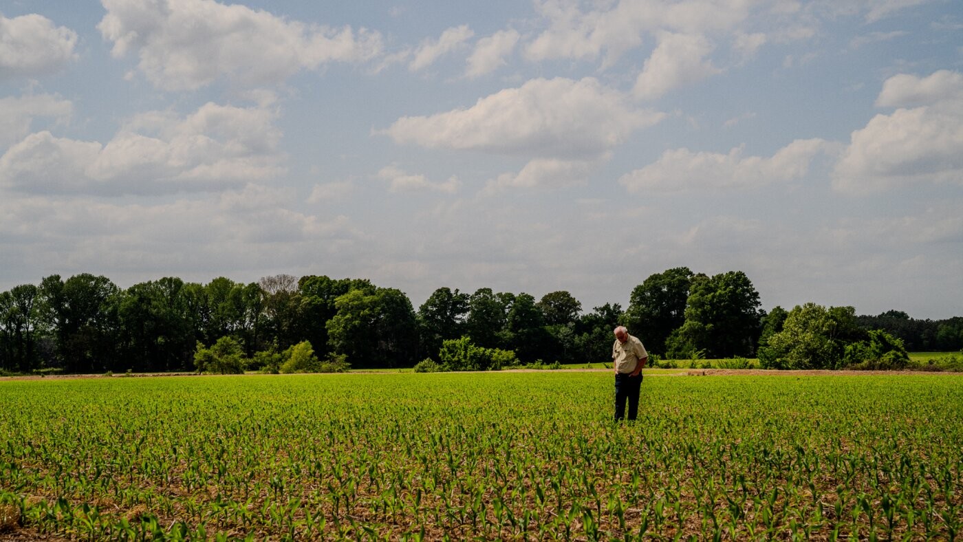 ارتفاع الأسمدة والوقود يضغط على مزارعي دلتا المسيسيبي ويهدد موسمهم