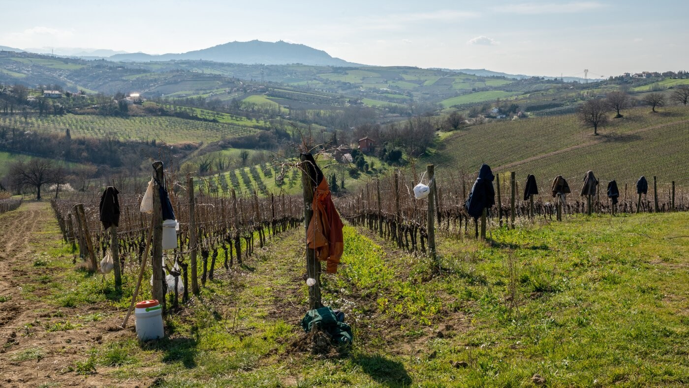 كينيدي يدافع عن فكرة «مزارع التعافي» لعلاج الإدمان وسط انتقادات طبية واسعة