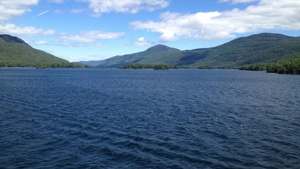 إصابة 20 طالباً في حادث حافلة بنيويورك صباح الأحد