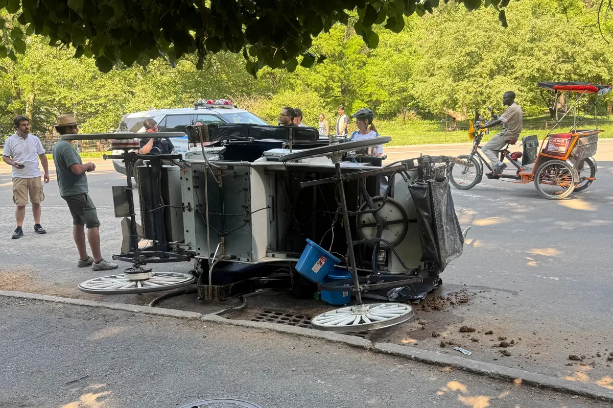 إصابة سائق عربة خيول في حادث انقلاب بعربة أخرى في سنترال بارك بنيويورك