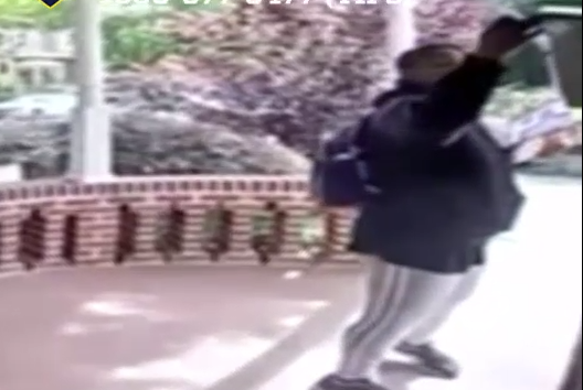 فرصة أخيرة لسكان نيويورك للحصول على مكيف هواء مجاني قبل ارتفاع درجات الحرارة
