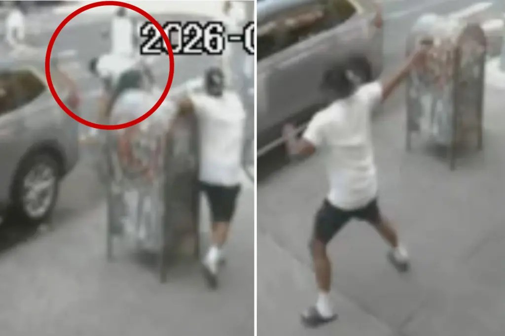 فيديو يوثق شجارًا في برونكس انتهى بمقتل نجل شرطي يبلغ 12 عامًا وإصابة اثنين