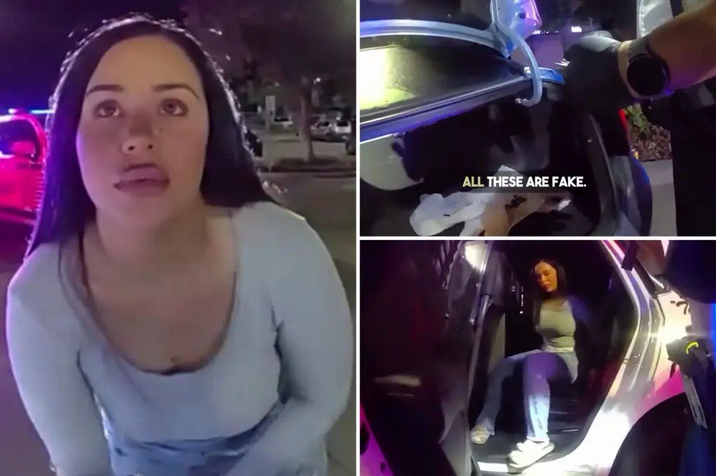 توقيف كندية في فلوريدا بعد العثور على 12 بطاقة هوية مزيفة في سيارتها