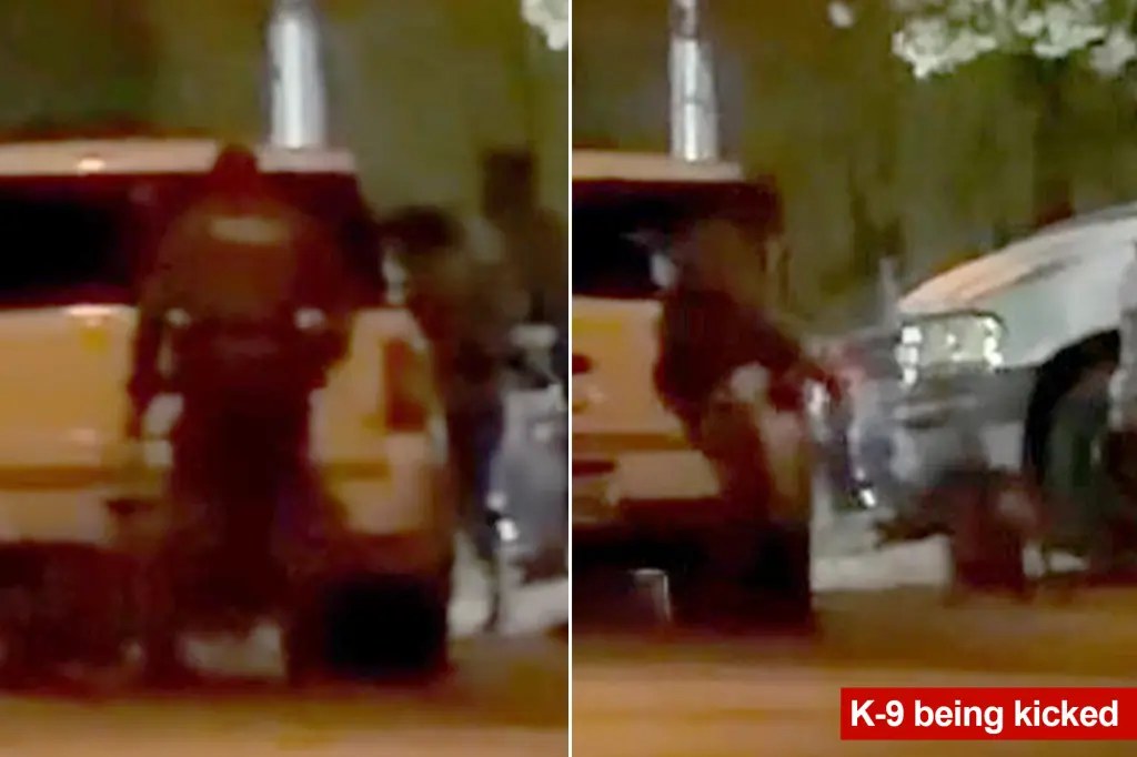 فيديو يثير غضبًا بعد اتهام شرطي في لاس فيغاس بركل كلب بوليسي خلال استجابة لبلاغ إطلاق نار