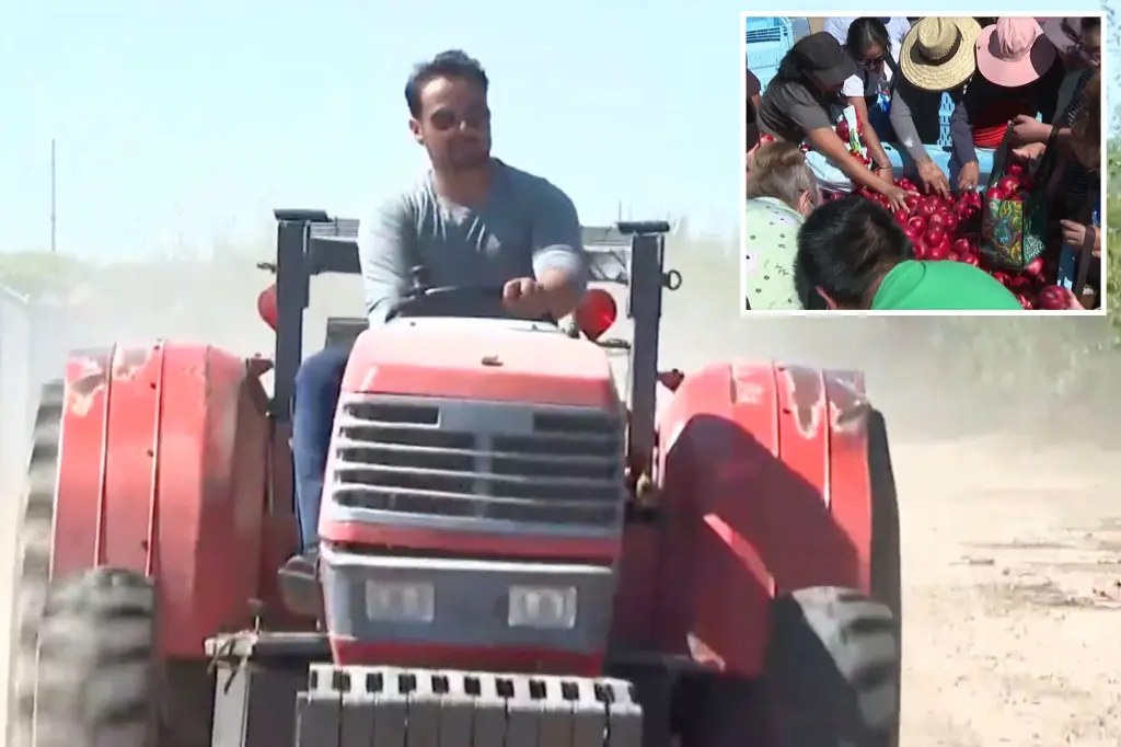 محكمة في فريسنو تلزم مزارعًا بإتلاف أشجار النكتارين بعد خسارته نزاعًا مع شركة غيومارا
