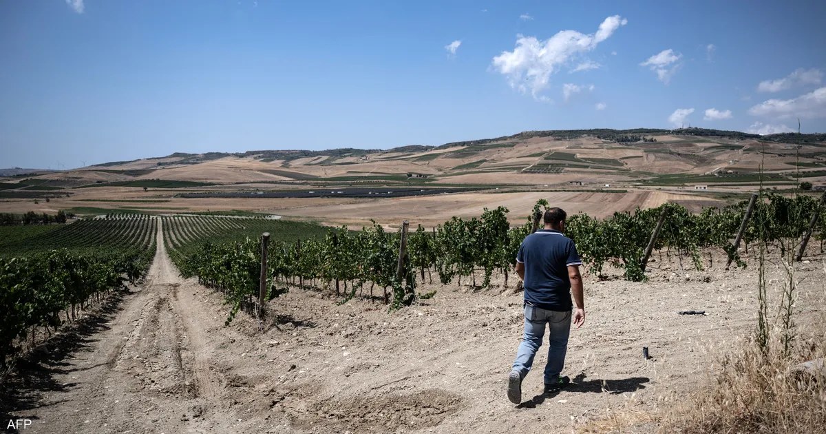 إيطاليا تفرض إجراءات على 4 رومانيين في قضية استغلال عمال مغاربة بمزارع صقلية