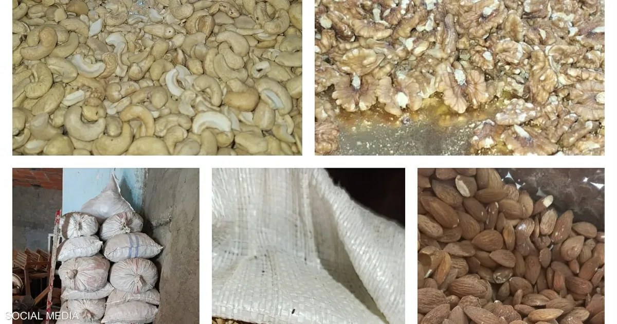 تونس تحجز 86 طنا من الأغذية الفاسدة وتغلق 7 محال قبل المولد النبوي
