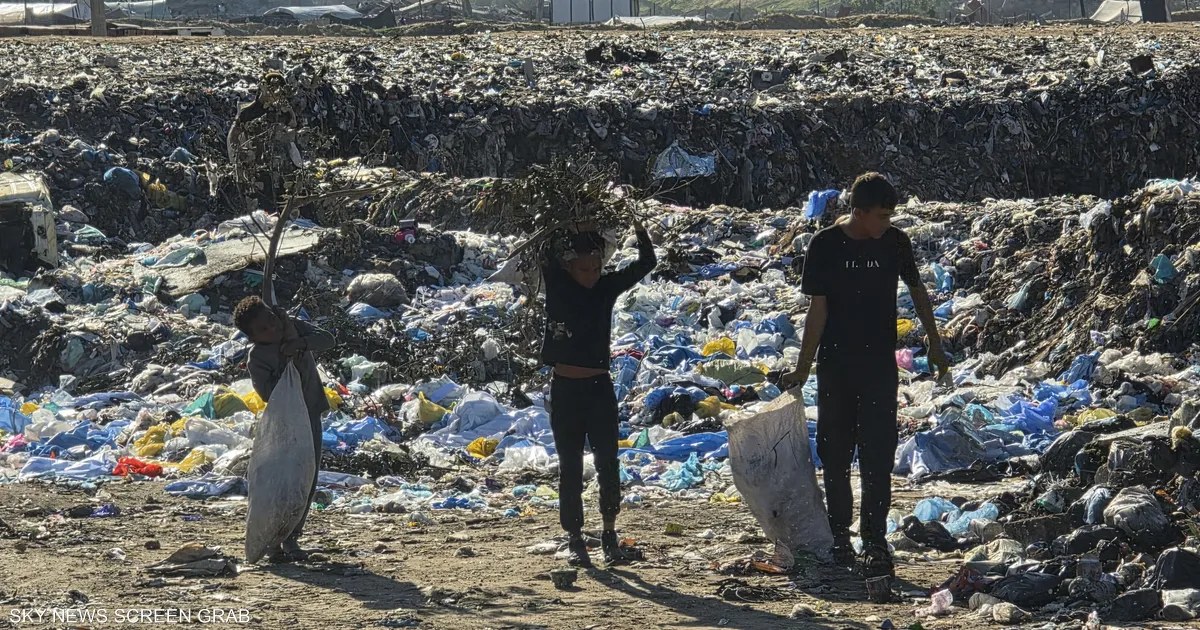 فلسطين: جمع الحطب في غزة يتحول إلى مصدر رزق محفوف بمخاطر القتل والإصابة