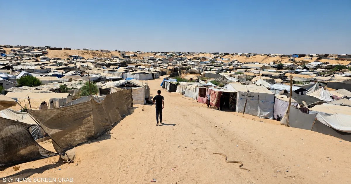 فلسطين: الأفاعي والعقارب تهدد النازحين في خيام غزة وسط الركام والنفايات