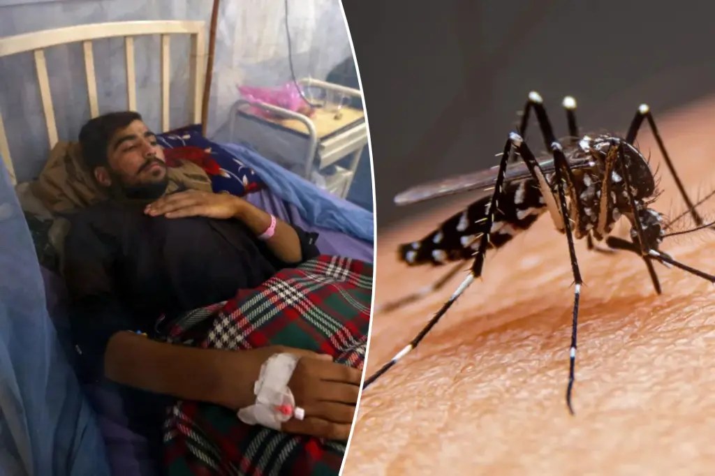 39 إصابة محلية بحمى الضنك في فلوريدا وسط اتساع انتشار المرض المنقول بالبعوض
