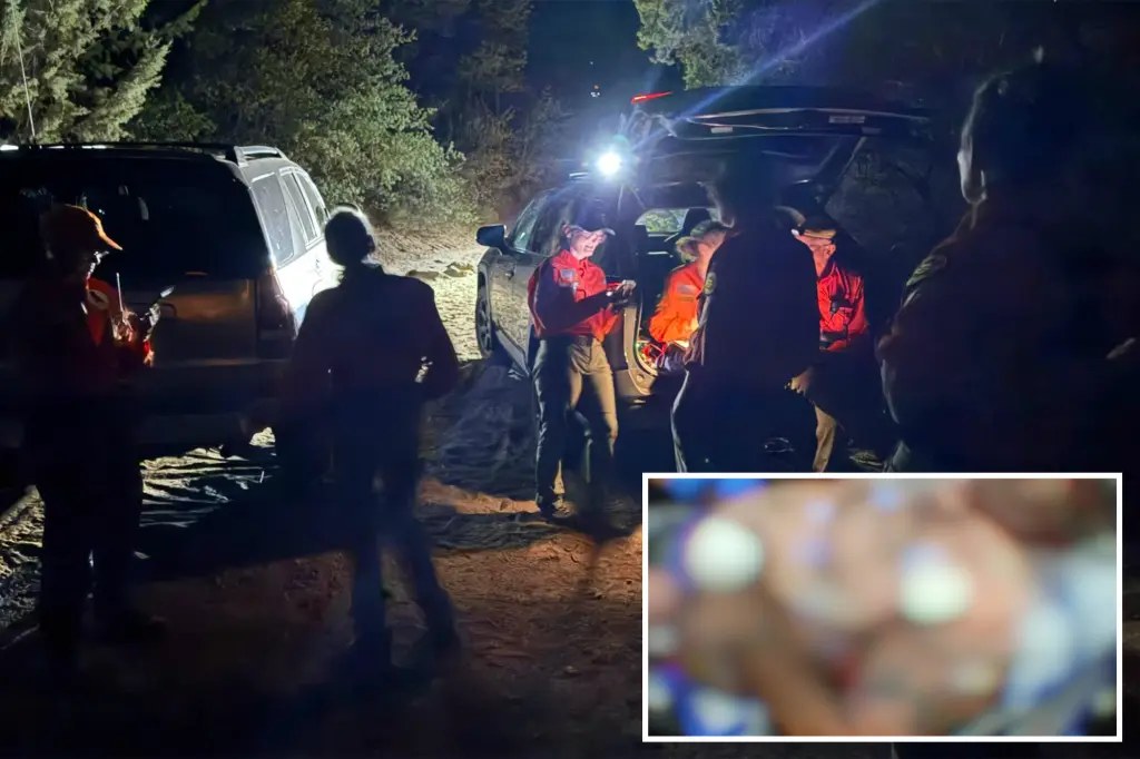 نواب شريف ينقلون مخيّمًا جوًا بعد لدغة أفعى جرسية في منطقة نائية بأريزونا