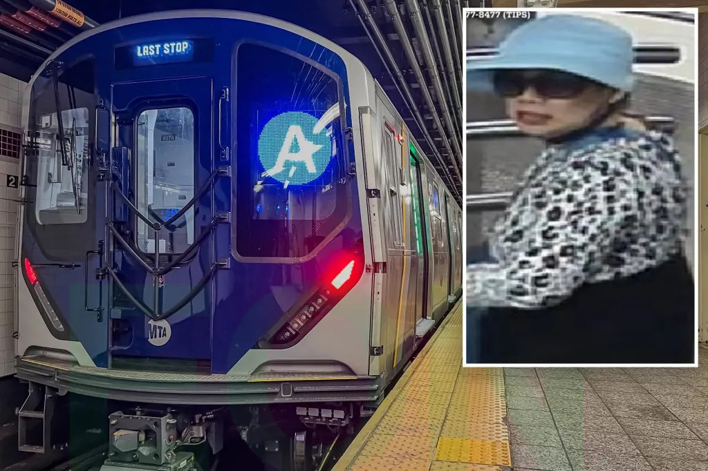 شرطة نيويورك تبحث عن امرأة حاولت خطف طفلة في محطة مترو بمانهاتن