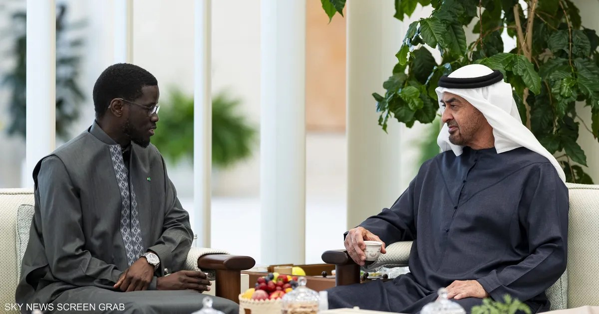 الإمارات والسنغال تبحثان التحضير لمؤتمر الأمم المتحدة للمياه 2026