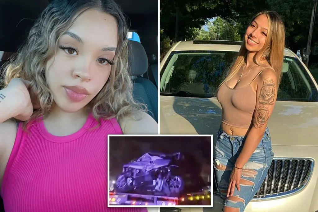 شرطة ميشيغان تحقق في احتمال ملاحقة أمّين قبل سقوط سيارتهما بالنهر