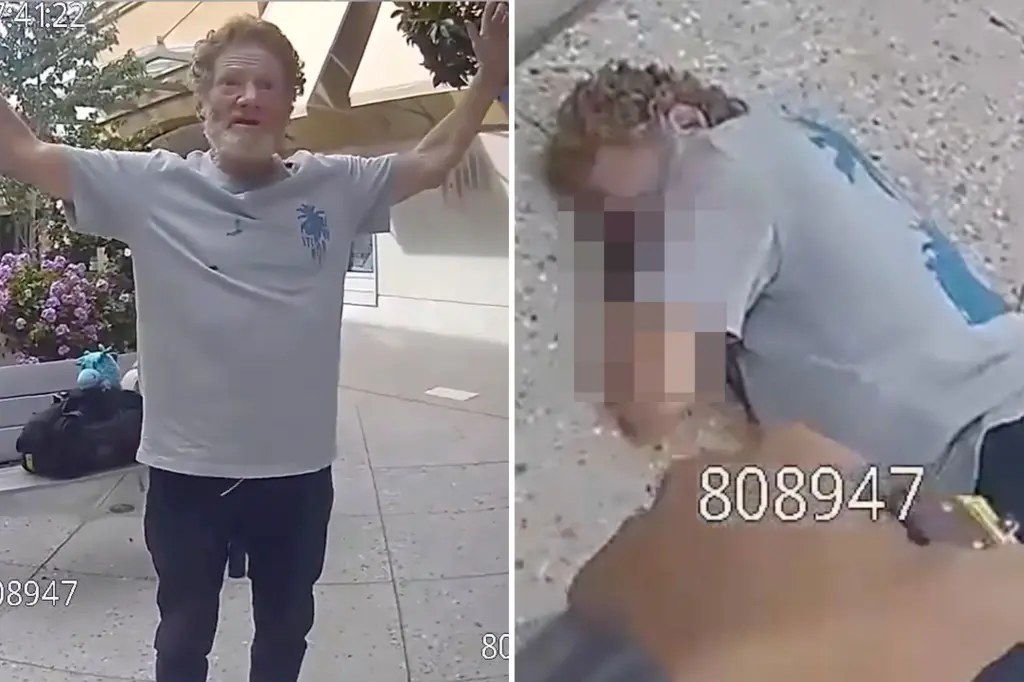 كسر في فقرة الرقبة لرجل بعد صعقه بمسدس كهربائي في مركز تجاري بكاليفورنيا