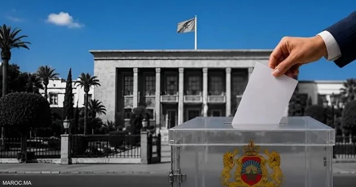 المغرب يعتمد أكثر من 3000 مراقب لانتخابات مجلس النواب