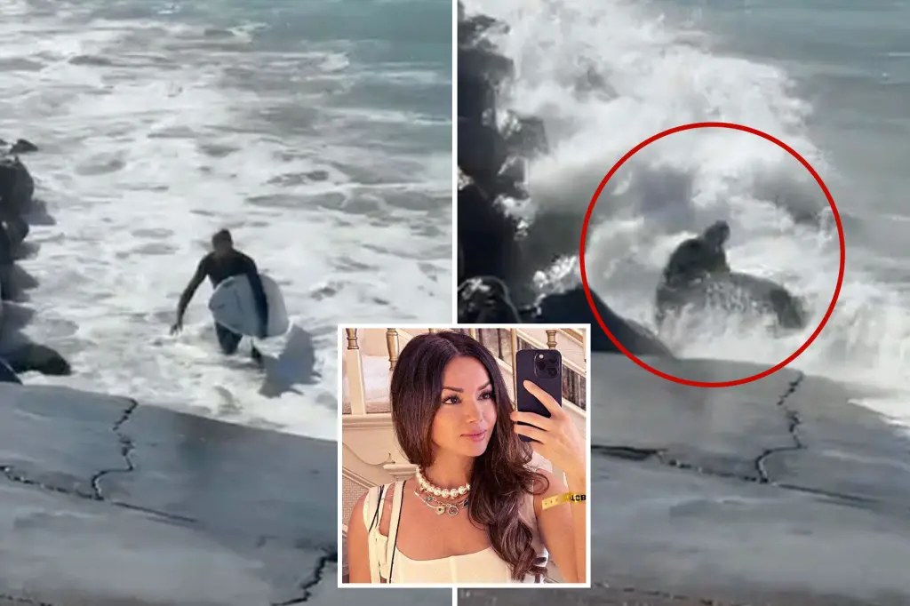 امرأة تنقذ راكب أمواج صدمته موجة بالصخور في أوشنسايد بولاية كاليفورنيا