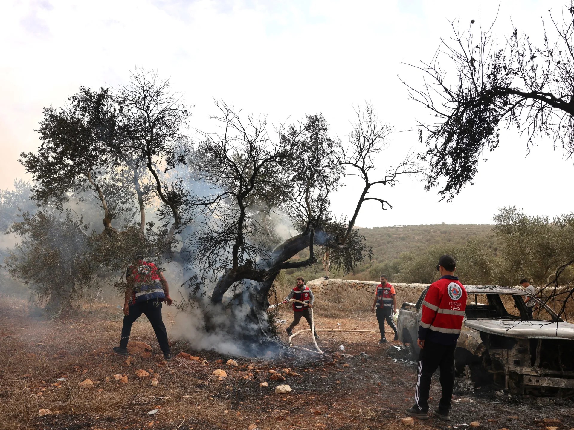 مستوطنون يطلقون الرصاص لإبعاد قاطفي الزيتون عن أراضيهم في فلسطين