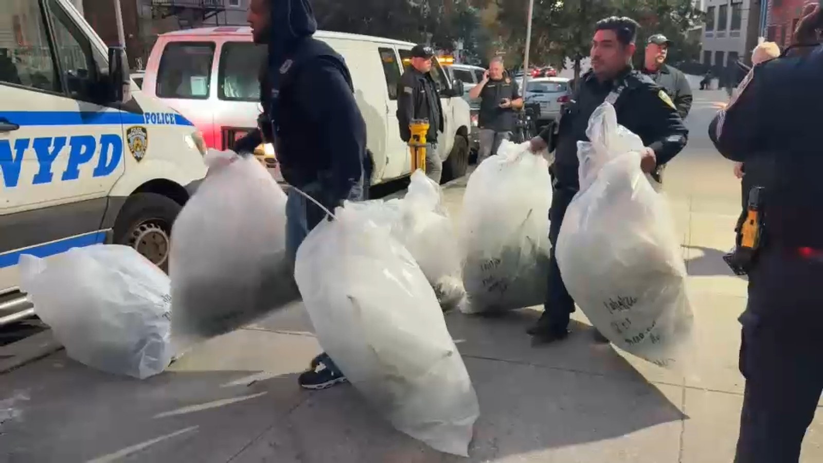العثور على 30 نبتة قنب في شقة بالبرونكس خلال تنفيذ إخلاء