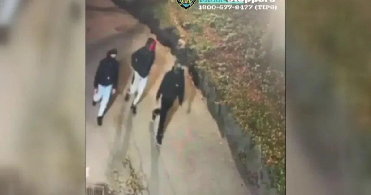 شرطة نيويورك تبحث عن 3 مشتبه بهم في الاعتداء على امرأة بسنترال بارك